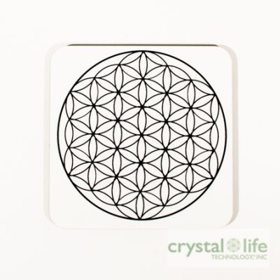 Grid Layouts What Are Grids Crystal Life Technology