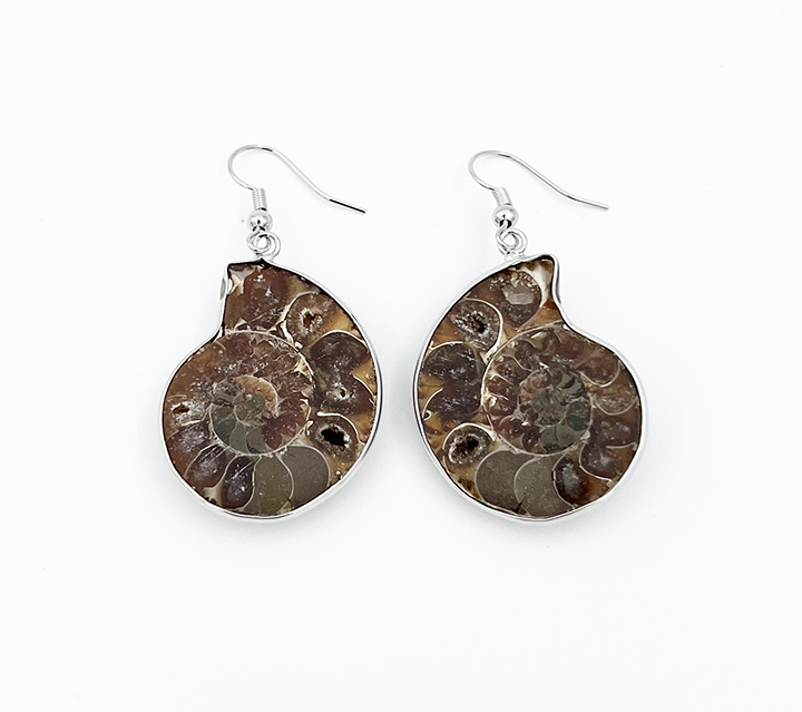 Ammonite Earrings Crystal Life Technology Fossils