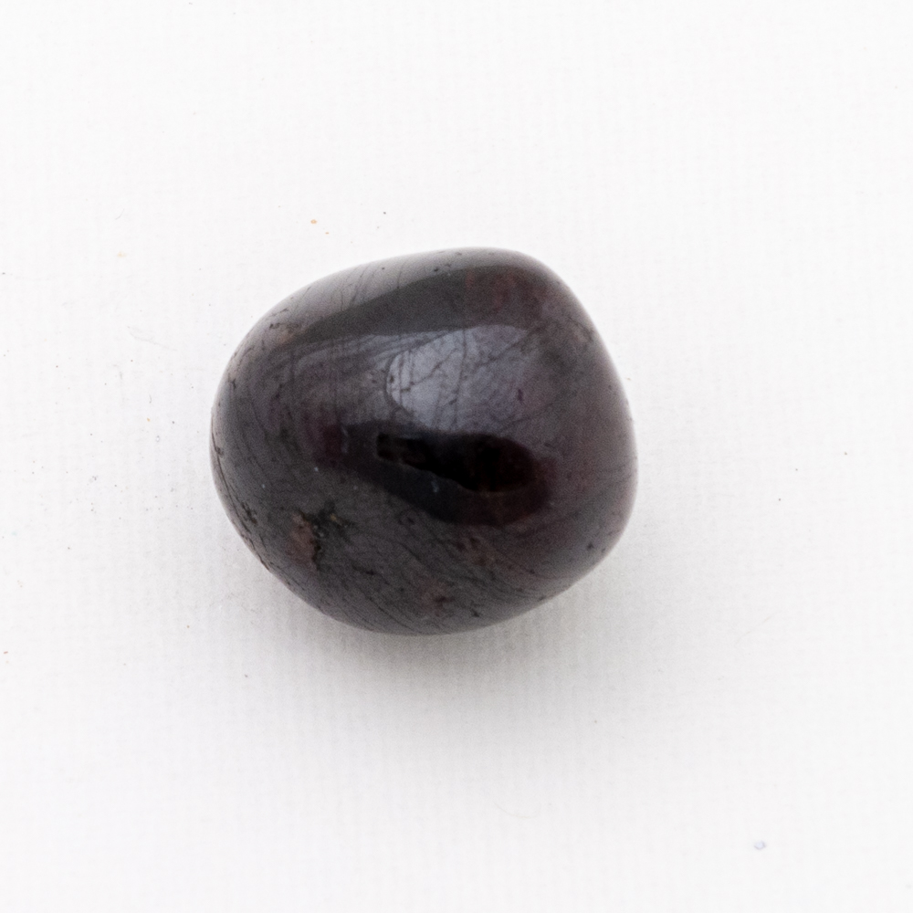 Garnet Large Tumbled Crystal Life Technology Inc