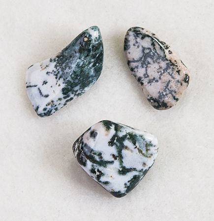 tree agate stone