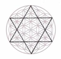 The Merkaba | Sacred Geometry | Crystal Life Technology, Inc.